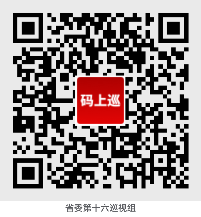省委第十六巡視組巡視豫信電子科技集團(tuán)有限公司黨委工作動員會議召開